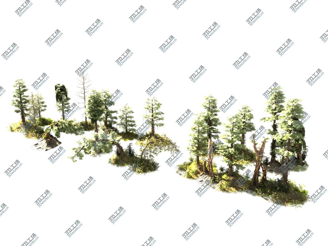 images/goods_img/20210113/Jungle Forest  Ecosystem Pack 20 3D model/4.jpg